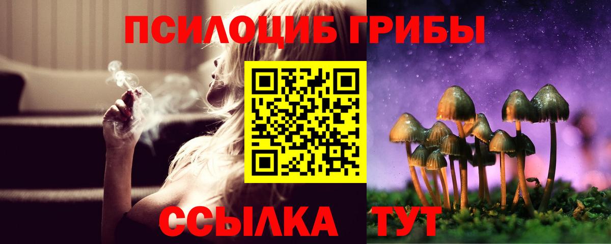 Галлюциногенные грибы прущие грибы Верхний Уфалей